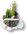 Book plantes deuil